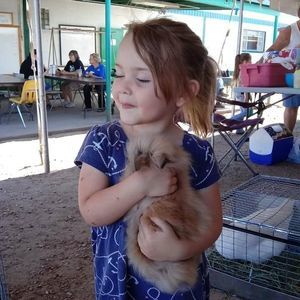 Meet your Posher, Dusty